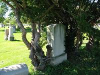Chicago Ghost Hunters Group investigates Calvary Cemetery (104).JPG
